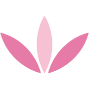 The Craft Company UK